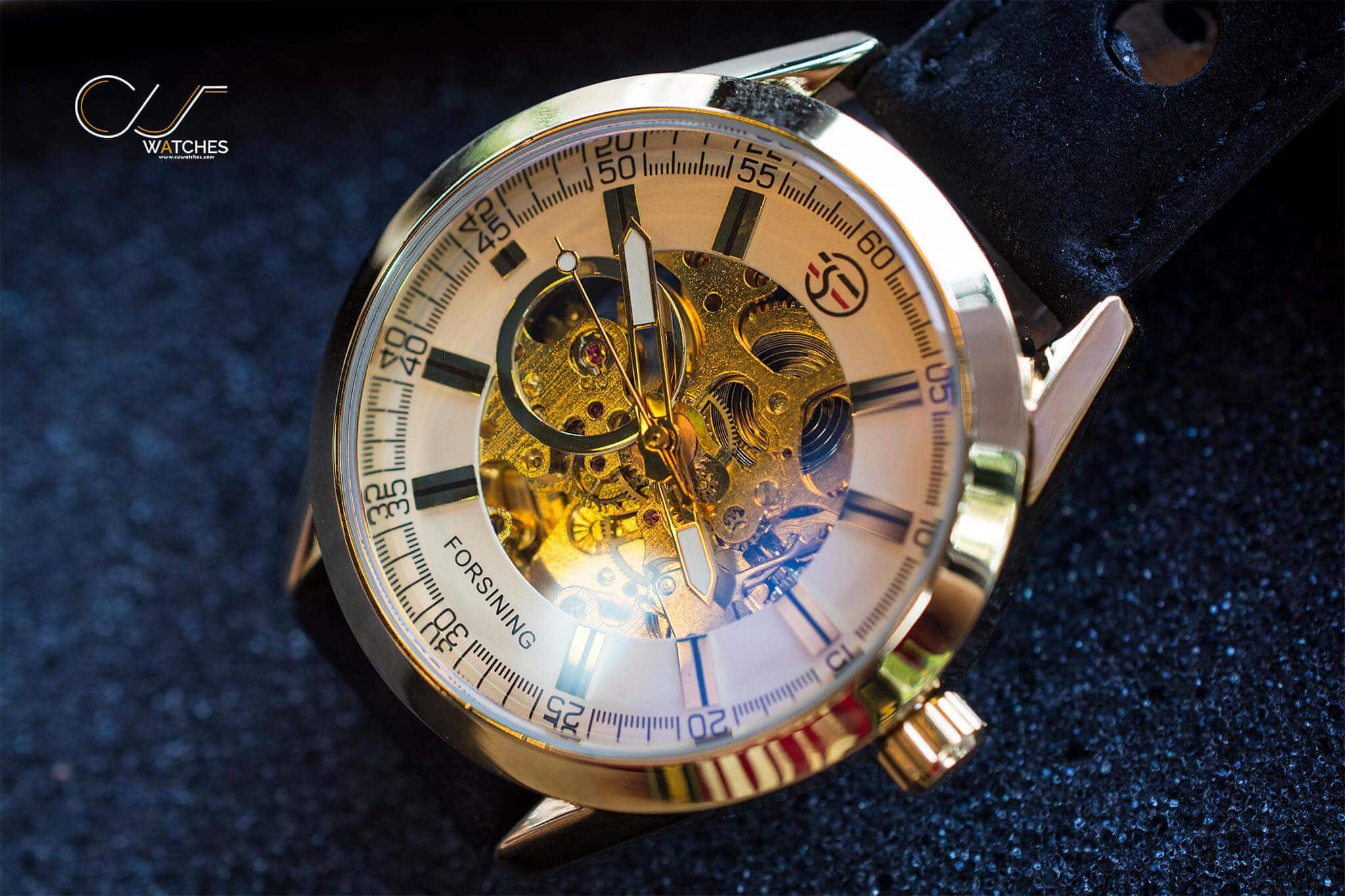 นาฬิกาข้อมือ Forsining สายหนังดำ เรือนทอง หน้าปัดสีไข่ รุ่น FNL103
